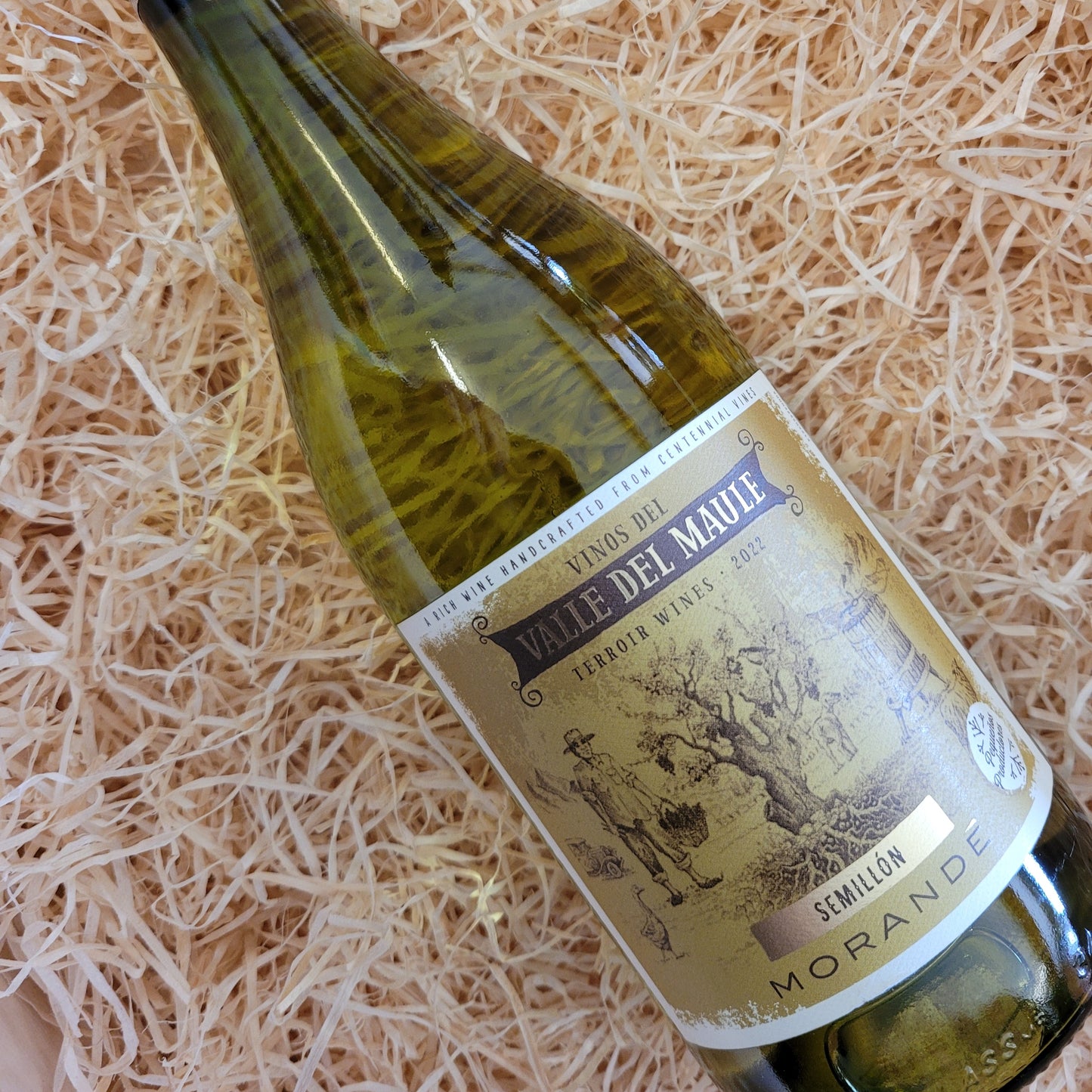 Morandé Terroir Wines Semillon, Valle Del Maule, Chile 2023 (12.5% Vol)