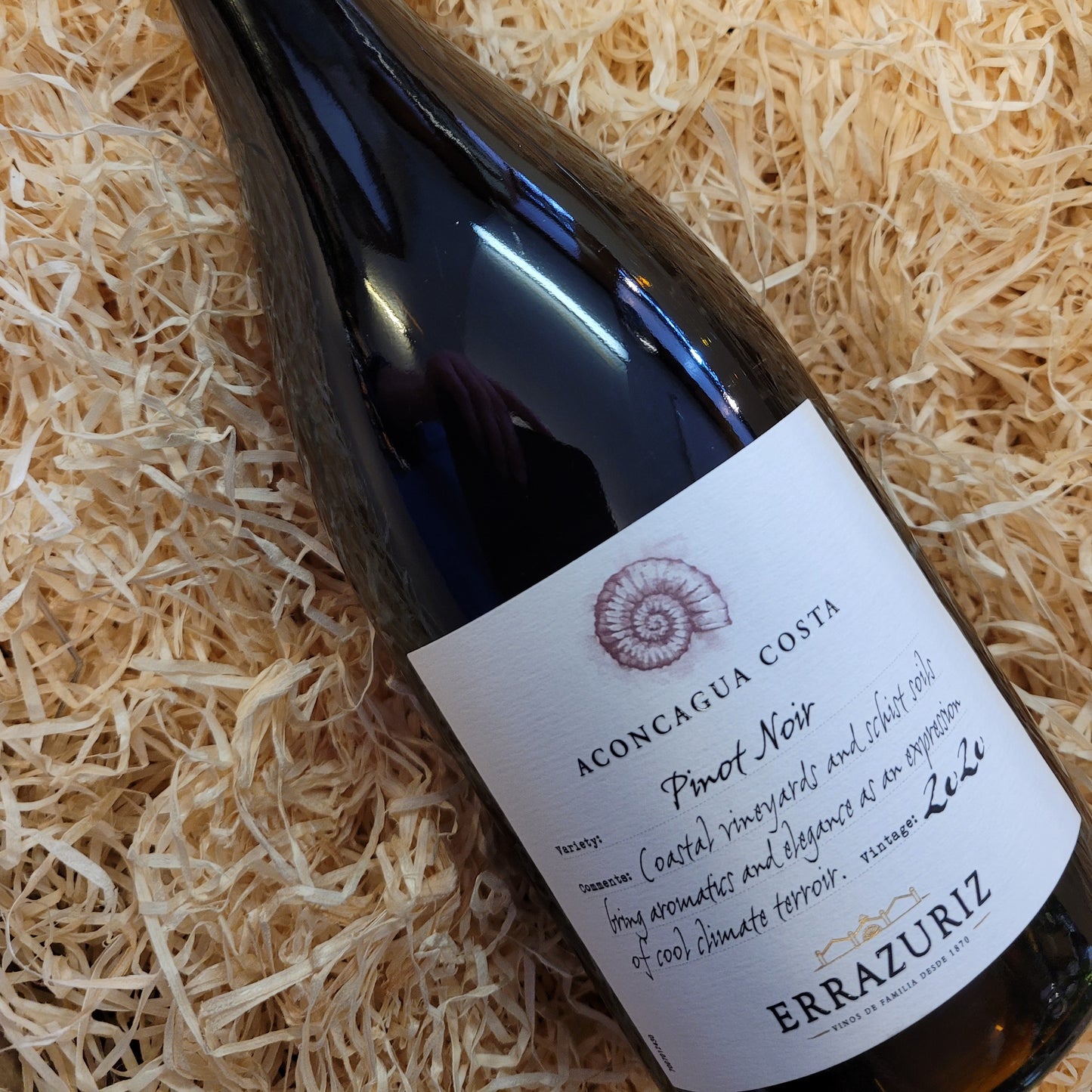 Aconcagua Costa Pinot Noir, Errazuriz, Aconcagua Valley, Chile 2022, 2023 (13.5% Vol)