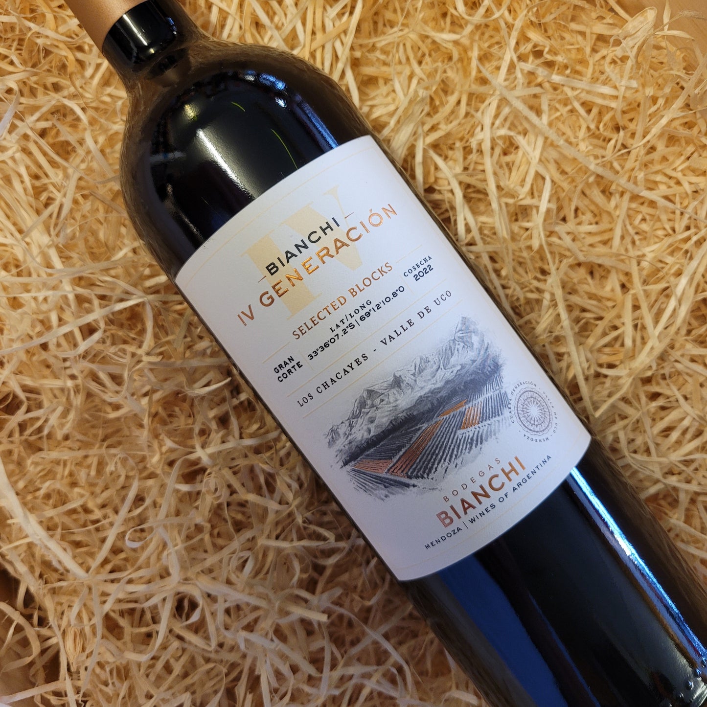 Bianchi IV Generación Gran Malbec Los Chacayes & Uco Valley, Mendoza, Argentina 2021, 2022 (14.5% Vol)